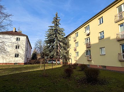 prostorny-byt-3-1-s-velkym-sklepem