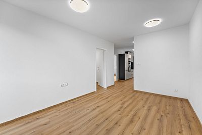 Apartment 3+kk after reconstruction for sale