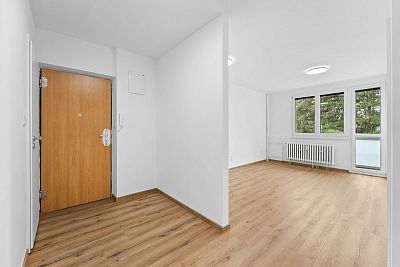 Apartment 3+kk after reconstruction for sale