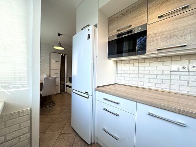 Apartment 3+kk for rent after partial reconstruction