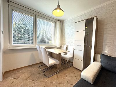 Apartment 3+kk for rent after partial reconstruction