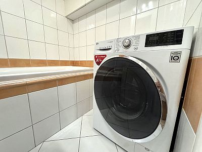 Apartment 3+kk for rent after partial reconstruction