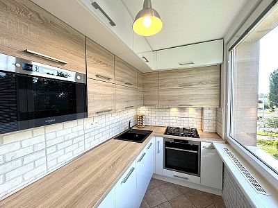 Apartment 3+kk for rent after partial reconstruction