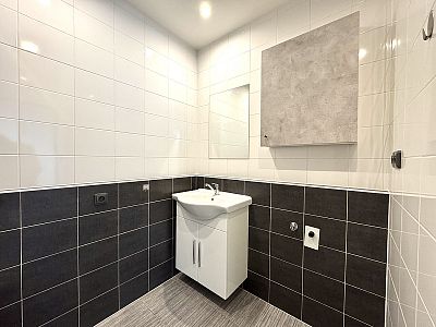 Apartment for rent 1+1