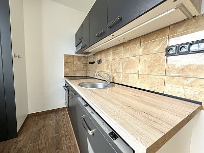 Apartment for rent 1+1