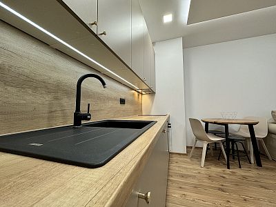 Beautiful apartment 1+kk for rent