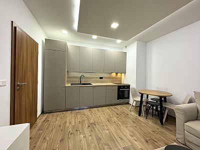 Beautiful apartment 1+kk for rent