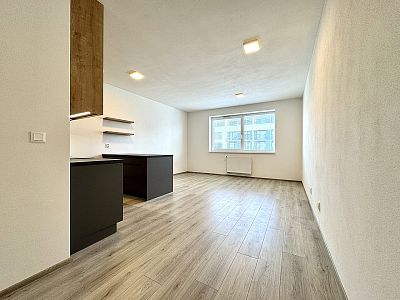 Beautiful new building 1+kk for rent