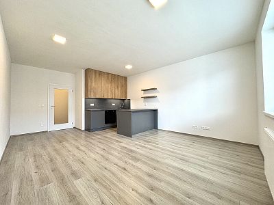 Beautiful new building 1+kk for rent