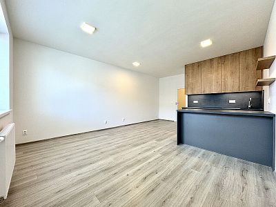 Beautiful new building 1+kk for rent