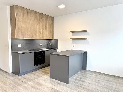 Beautiful new building 1+kk for rent