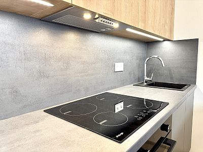 Beautiful new building 1+kk for rent