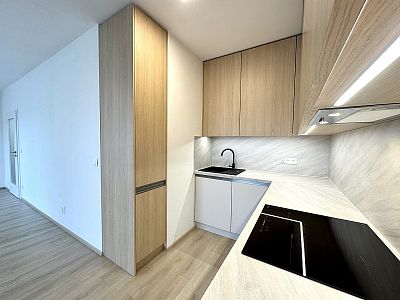 Brand new apartment 1+kk for rent