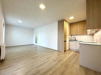 Brand new apartment 1+kk for rent