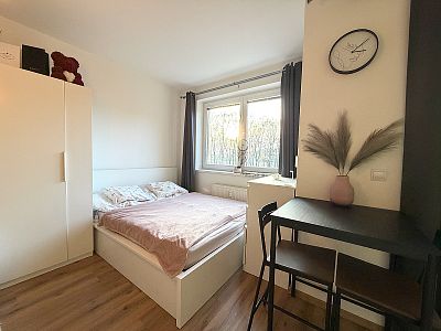 Byt 1+kk s výhledem do lesa