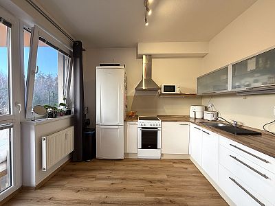 Byt 1+kk s výhledem do lesa