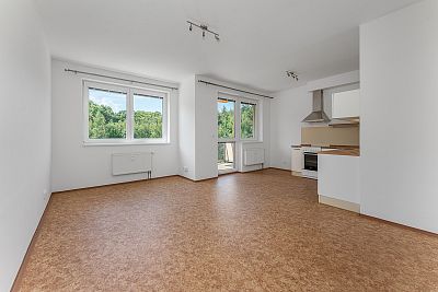 For sale apartment 1+kk with balcony 6 m² and cellar