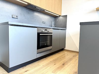 Fully equipped apartment 1+kk with loggia