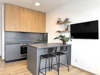 Kompletně vybavený byt 1+kk s lodžií