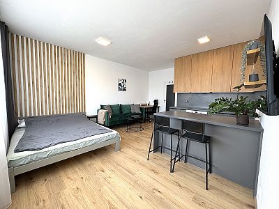 Kompletně vybavený byt 1+kk s lodžií