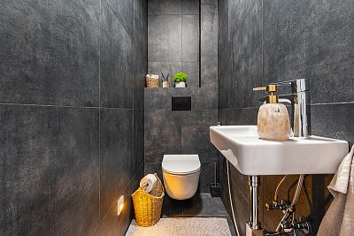 Luxury house with swimming pool for rent