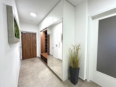Nadstandardní byt 3+kk k pronájmu