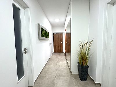 Nadstandardní byt 3+kk k pronájmu