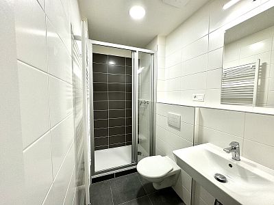 New apartment 1+kk with loggia for rent