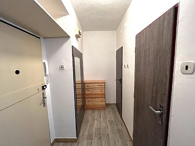 Pronájem bytu 1+1 38 m²