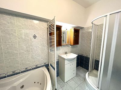 Pronájem bytu 2+1 95 m² se sklepem