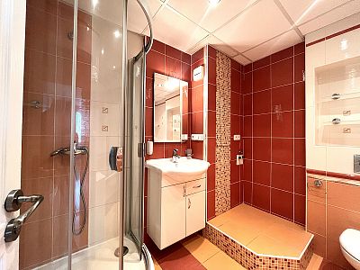 Pronájem bytu 3+kk 81 m² s lodžií, sklepem a výtahem