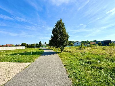 Pronájem rodinného domu, pozemek 288 m²