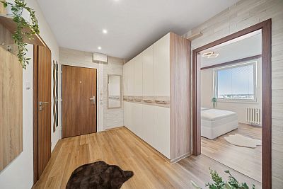 Renovated apartment 3+1 in Pardubice