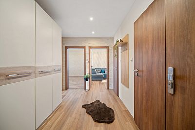 Renovated apartment 3+1 in Pardubice