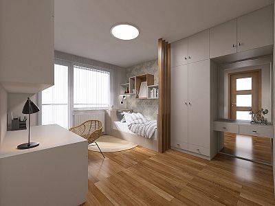 Renovated apartment 3+1 in Pardubice