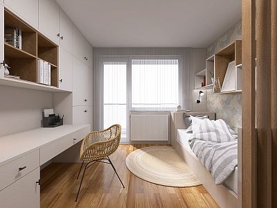 Renovated apartment 3+1 in Pardubice