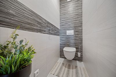 Renovated apartment 3+1 in Pardubice