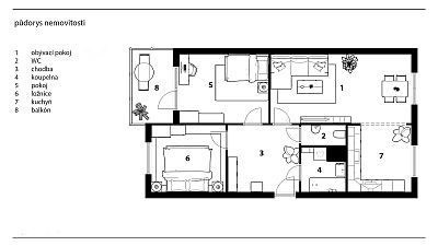 Renovated apartment 3+1 in Pardubice
