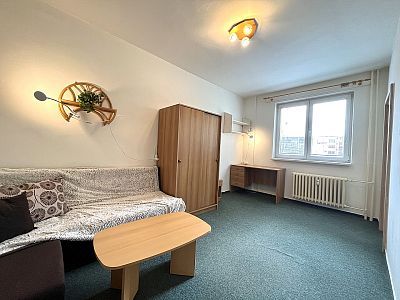 Rent apartment 1+1 32 m² with cellar and elevator