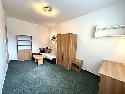 Rent apartment 1+1 32 m² with cellar and elevator