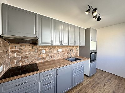 Rent apartment 3+1 after reconstruction