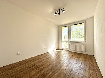 Rent apartment 3+1 after reconstruction