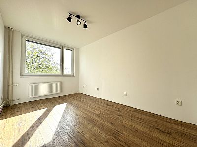 Rent apartment 3+1 after reconstruction