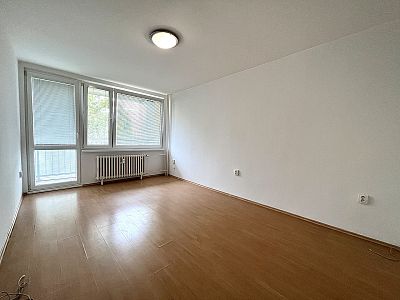 Rent apartment 3+kk 81 m² with loggia, cellar and elevator