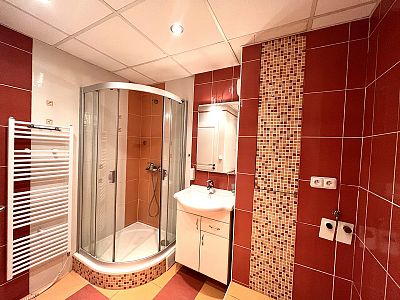 Rent apartment 3+kk 81 m² with loggia, cellar and elevator