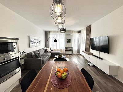 Superior apartment 2+kk for rent